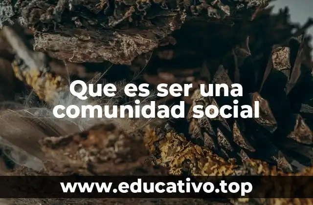 Que es ser una comunidad social