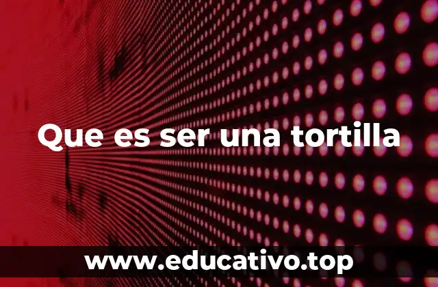 Que es ser una tortilla