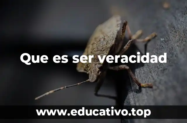 Que es ser veracidad