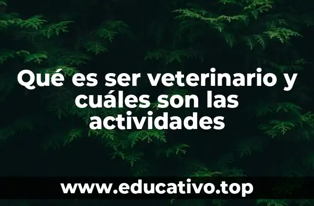 Qué es ser veterinario y cuáles son las actividades
