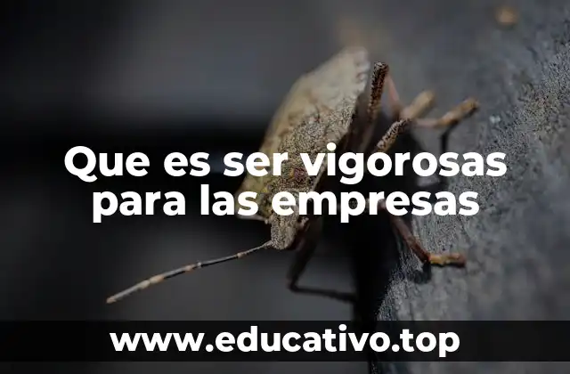 Que es ser vigorosas para las empresas