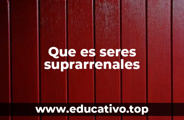 Que es seres suprarrenales