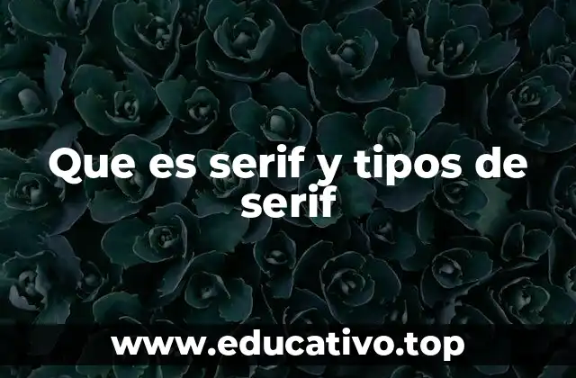 Que es serif y tipos de serif