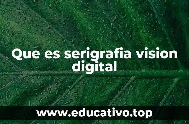 Que es serigrafia vision digital