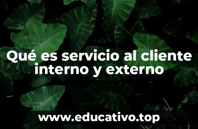 Qué es servicio al cliente interno y externo