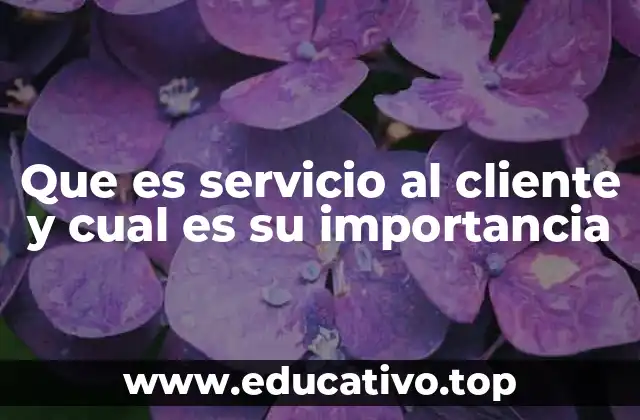 Que es servicio al cliente y cual es su importancia