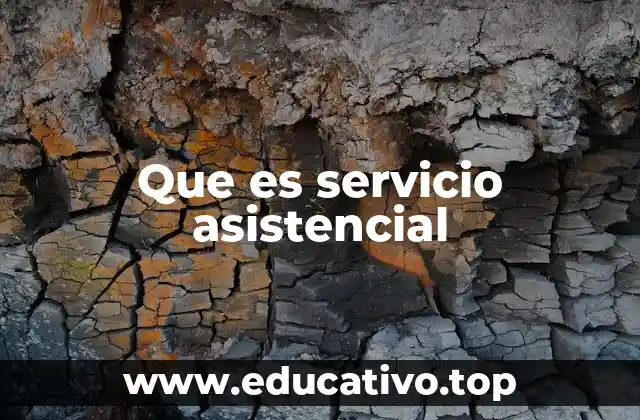 Que es servicio asistencial