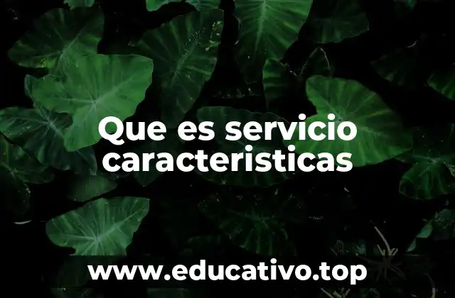Que es servicio caracteristicas