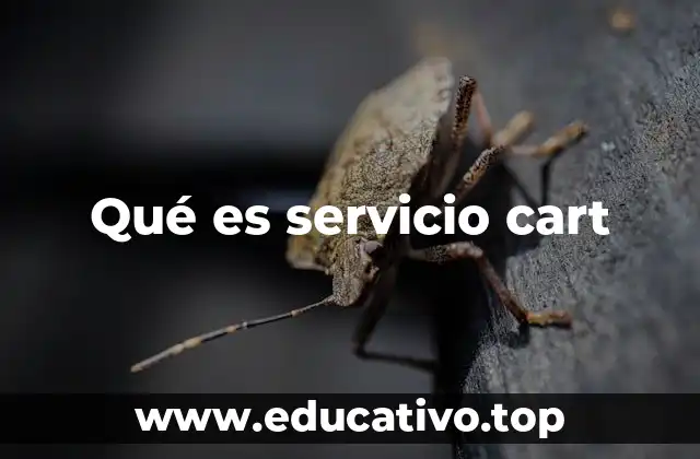 Funcionalidad del carrito de compras en línea