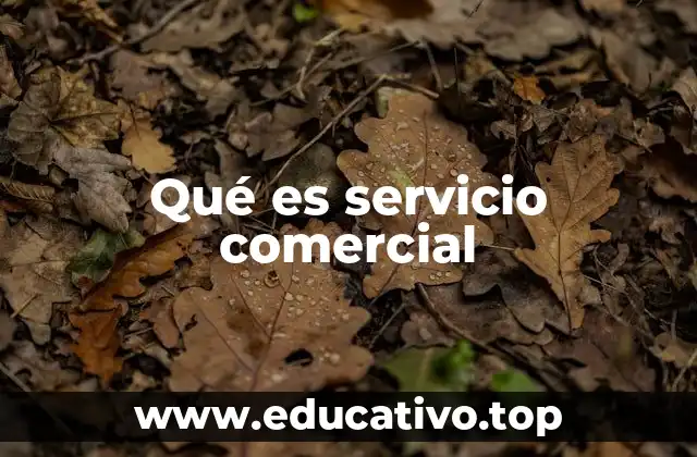 Qué es servicio comercial