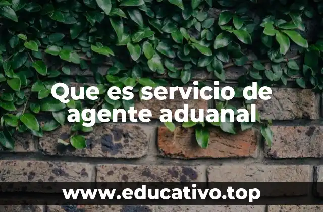 Que es servicio de agente aduanal
