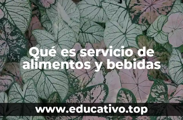 Qué es servicio de alimentos y bebidas