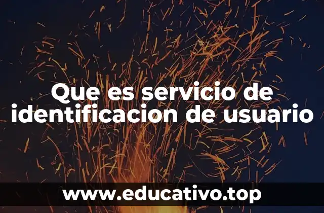 Que es servicio de identificacion de usuario