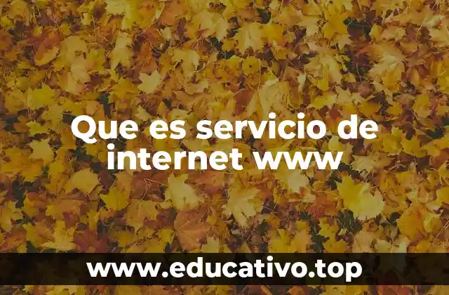 Que es servicio de internet www