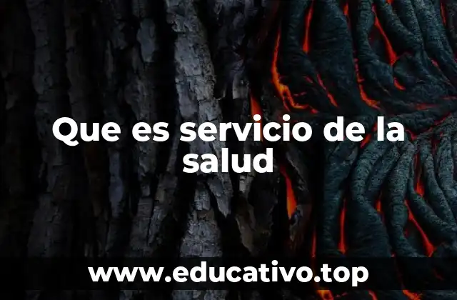 Que es servicio de la salud