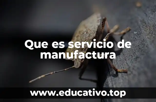 Que es servicio de manufactura