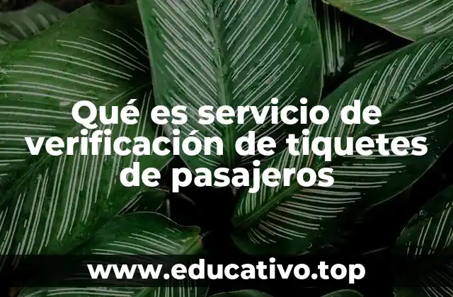 Qué es servicio de verificación de tiquetes de pasajeros