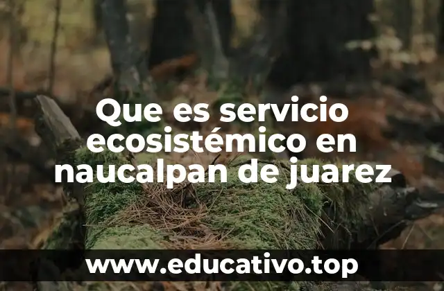 La relevancia de los servicios ecológicos en una ciudad como Naucalpan
