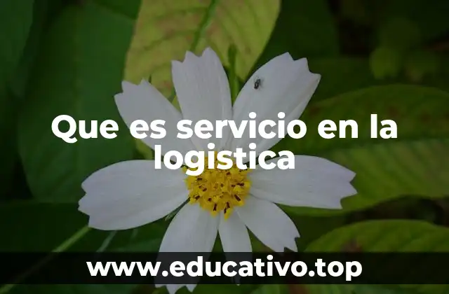Que es servicio en la logistica