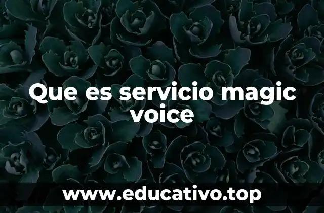 Que es servicio magic voice