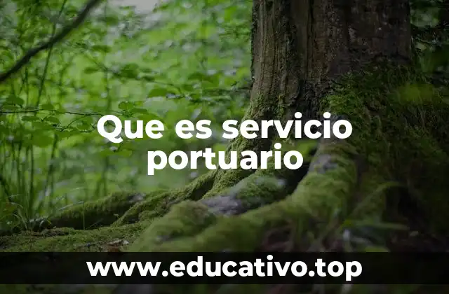 Que es servicio portuario