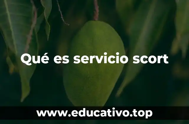 Qué es servicio scort
