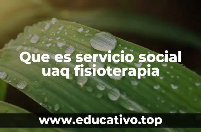 Que es servicio social uaq fisioterapia