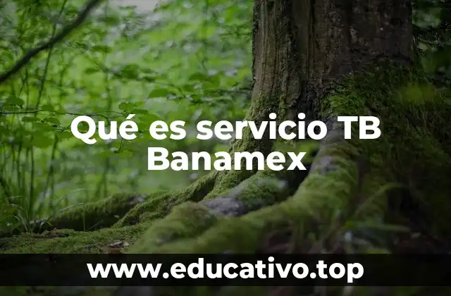 Qué es servicio TB Banamex