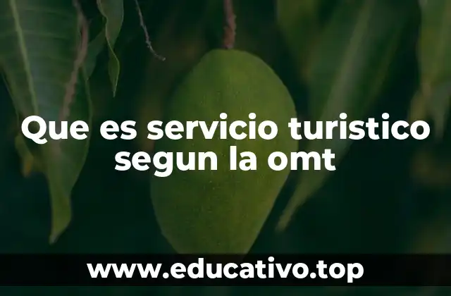 Que es servicio turistico segun la omt