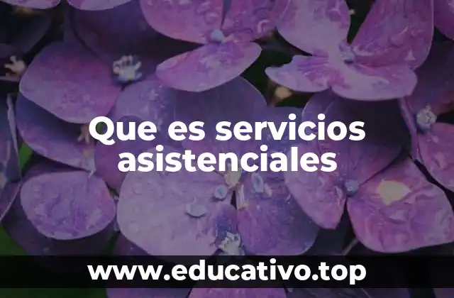 Que es servicios asistenciales