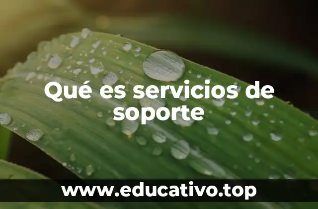 Qué es servicios de soporte