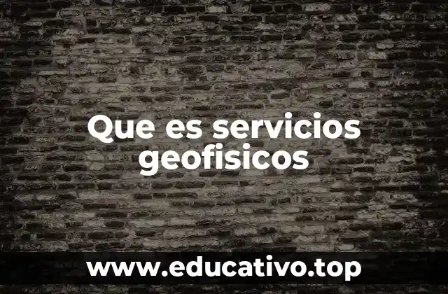 Que es servicios geofisicos