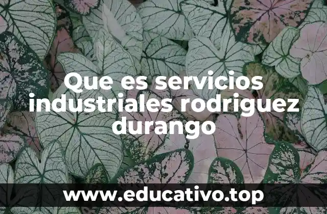 Que es servicios industriales rodriguez durango