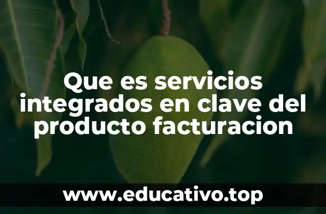 Que es servicios integrados en clave del producto facturacion