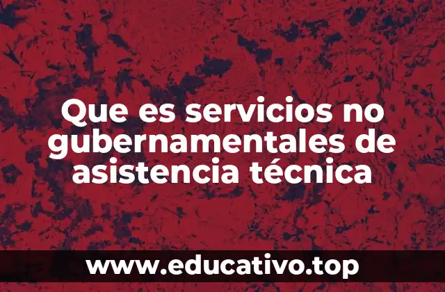 Que es servicios no gubernamentales de asistencia técnica