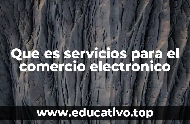 Que es servicios para el comercio electronico