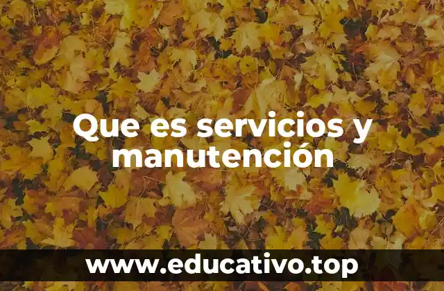 Que es servicios y manutención