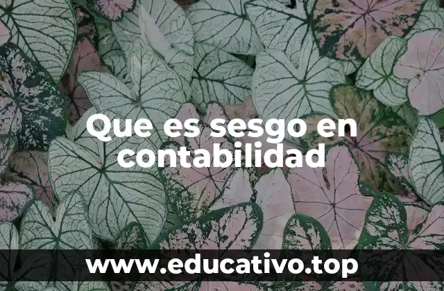 Que es sesgo en contabilidad