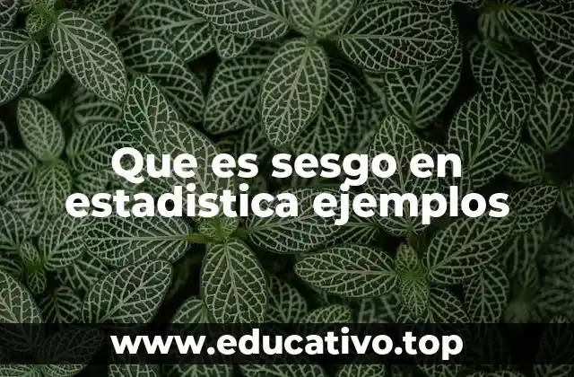 Que es sesgo en estadistica ejemplos