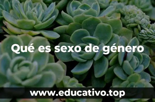 Qué es sexo de género