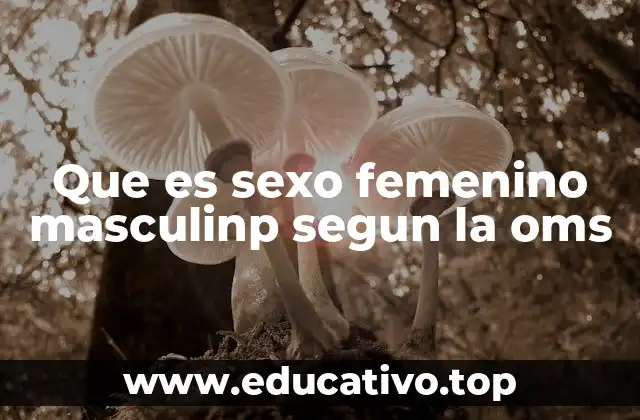 Que es sexo femenino masculinp segun la oms