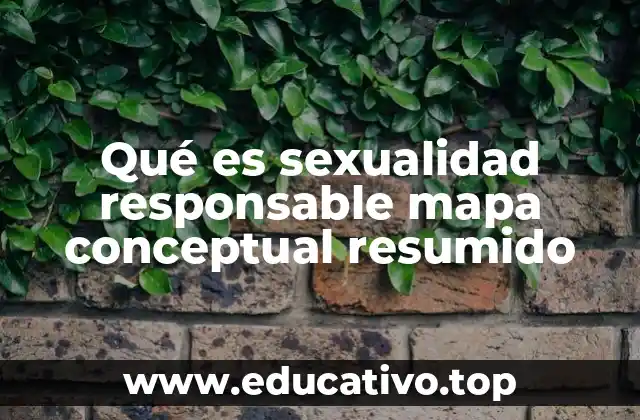 Qué es sexualidad responsable mapa conceptual resumido