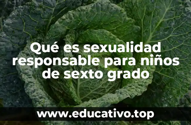 Qué es sexualidad responsable para niños de sexto grado