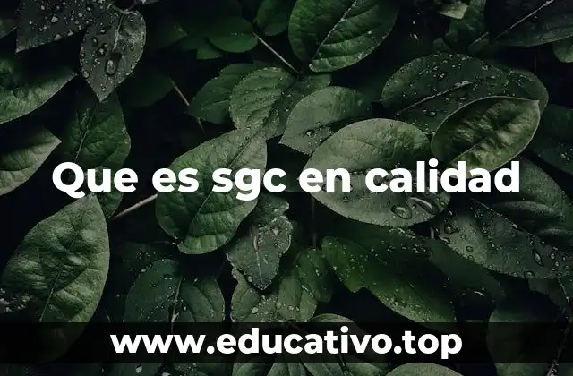 Que es sgc en calidad