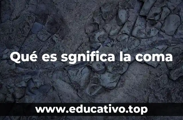 El rol de la coma en la construcción de oraciones