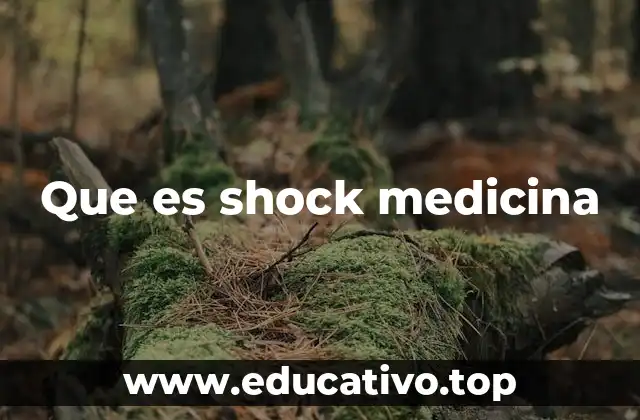 Que es shock medicina