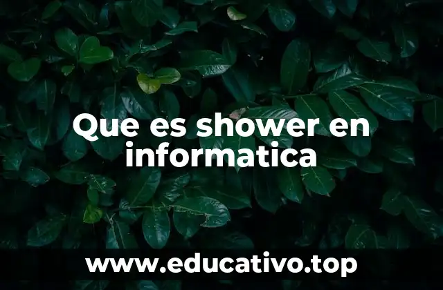 Que es shower en informatica