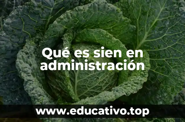 Qué es sien en administración
