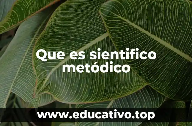 Que es sientifico metódico