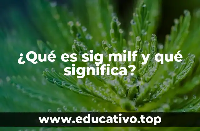 ¿Qué es sig milf y qué significa?